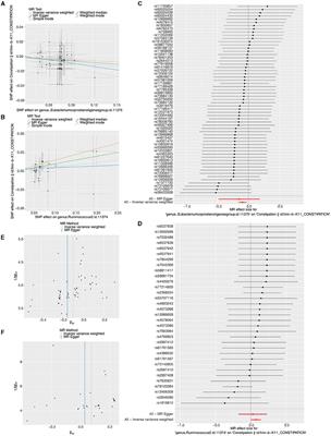 Assessing the causal effects of Eubacterium and Rumphococcus on constipation: a Mendelian randomized study